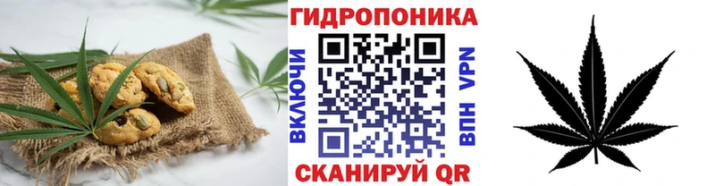 Canna-Cookies конопля  где купить наркоту  Магнитогорск 