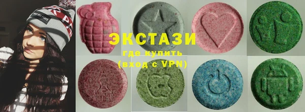 гидра Щигры